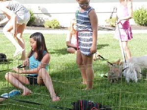Puppy Party