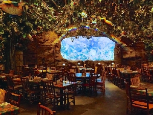 Rainforest Cafe Kids Restaurant in Florida 