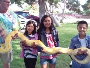 Reptile Ron reptile party entertainers in Fresno County California